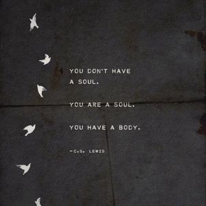 Meet your Posher, Will